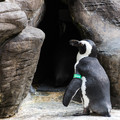 422 - IMG_0422.jpg