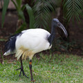 424 - IMG_0458.jpg