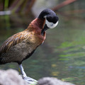 425 - IMG_0470.jpg
