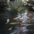 426 - IMG_0478.jpg