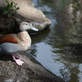 427 - IMG_0484.jpg
