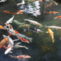 428 - IMG_0486.jpg