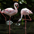 429 - IMG_0496.jpg