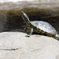 430 - IMG_0511.jpg