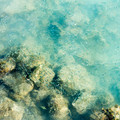 440 - IMG_0659.jpg