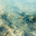441 - IMG_0664.jpg