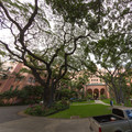 442 - IMG_0672.jpg