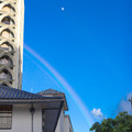 447 - IMG_0688.jpg