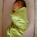 013 - IMG_2440.jpg