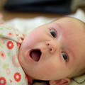 040 - IMG_0593.jpg