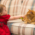 155 - IMG_4548.jpg