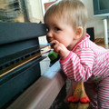 162 - IMG_20121230_153929.jpg