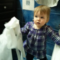 013 - IMG_20130216_151120.jpg