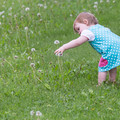 089 - IMG_0528.jpg