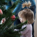 193 - IMG_8146.jpg