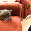 212 - IMG_9381.jpg