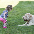 112 - IMG_9529.jpg