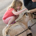 019 - IMG_8309.jpg