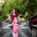 021 - IMG_8481.jpg