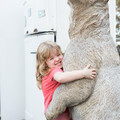 025 - IMG_8657.jpg