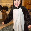 002 - IMG_6950.jpg